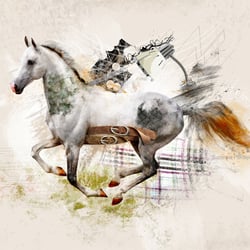 Photoshop
