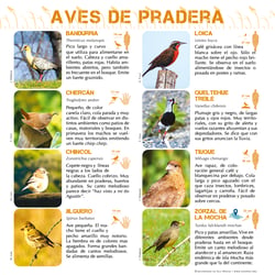Biodiversity conservation