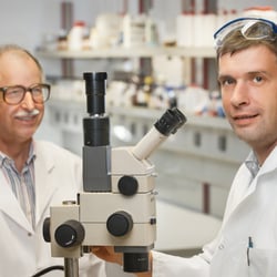 Stannol Labor 2012