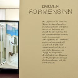 DIATOMEEN – FORMENSINN