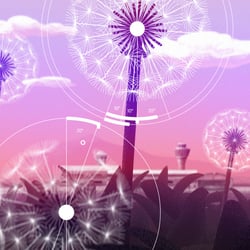 Dandelion Intro