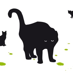 Cats‘ Xmas