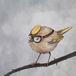 Kinglet