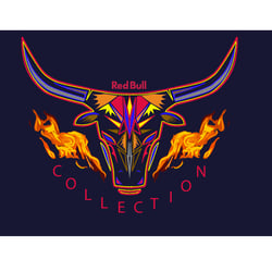 Collection
