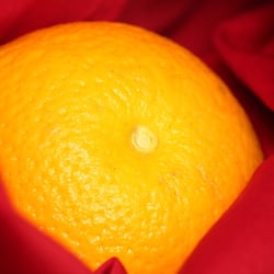 Food Photography 2012 Orange
