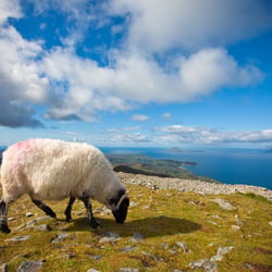 Croagh Patrick