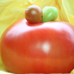 Food Fotografie 2012