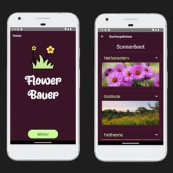 Flower Bauer App für Android/iOs befindet sich in der Entwicklung