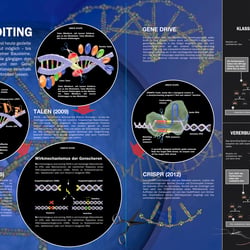 GENE EDITING