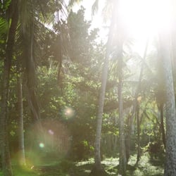 astrid wolff photographie