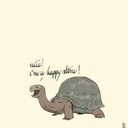 turtle