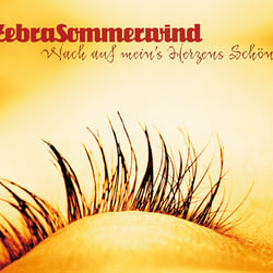 ZebraSommerwind | Wach auf mein’s Herzens Schöne > CD Cover