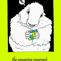 the amazing marmot gruen