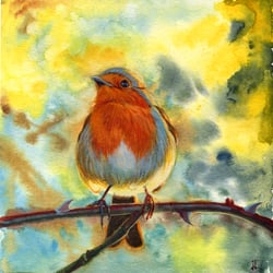 Rotkehlchen – Aquarell und Gouache