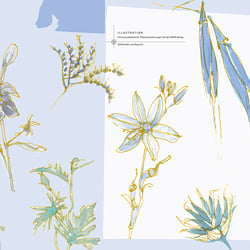 Illustrationen Backgroundgraphics