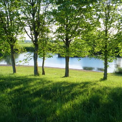 Landschaft 7 Ulrich Dehler