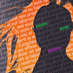 Lorem Ipsum and So On