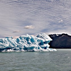 Patagonia Exposition 4