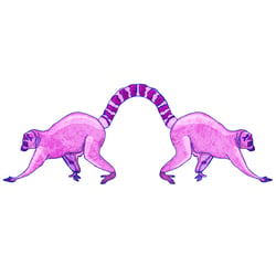 Lemur