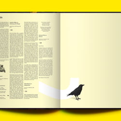 Buchgestaltung „Der schwarze Hund trägt bunt“