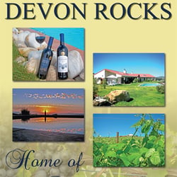 Poster Design for Devon Rocks Wine Farm