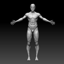 Anatomy Studio