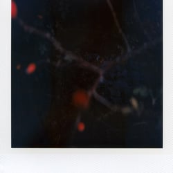 Katrin Bahlmann Photography FineArts 15