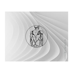 https://carographic.de/grafikdesign-logo-branding.html