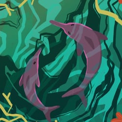 Amazonas Projekt – Boto