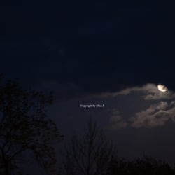 Moon Mai 2014 © by Dina.T