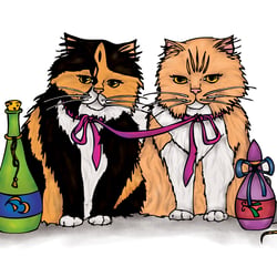 Katzen