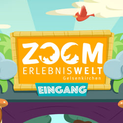 ELE Card App 03