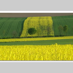 Fotografie-Natur
