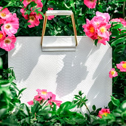 Asos Bag