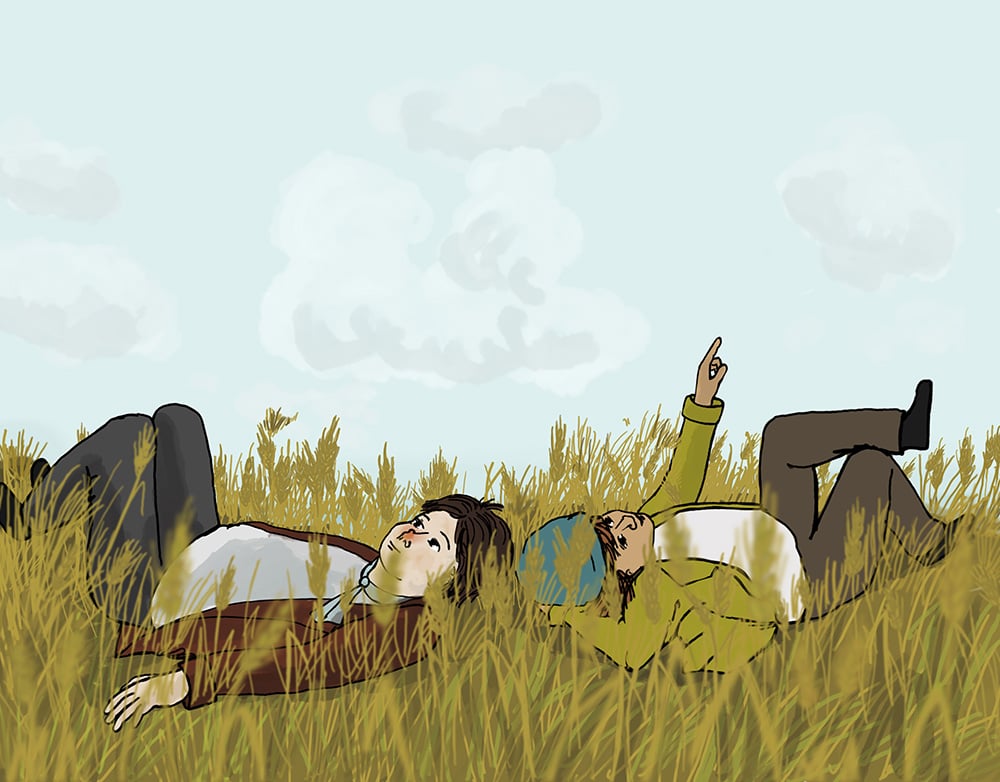 Feld
