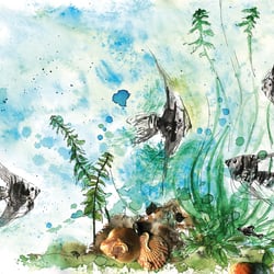 Postkarte · underwater ·