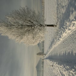 Winterwonderland Benediktbeuern während einer teilweisen Sonnenfinsternis
