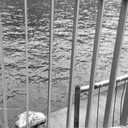 Hafencity – and more 2014
