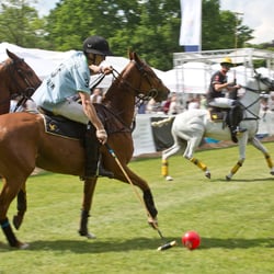 polo bs kl 13