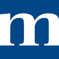 moskito