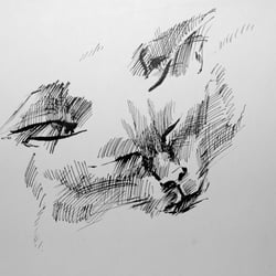 katze