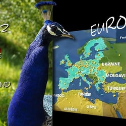 Europa ohne Herz & Verstand