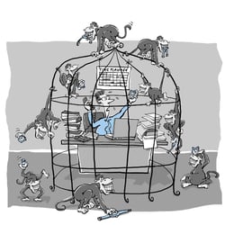 Putting An End To Monkey Business