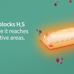 H2S v1 270320 (01139)
