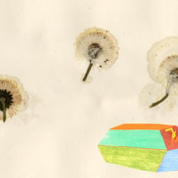 Illustration zu J.Maynard von T. Fontane