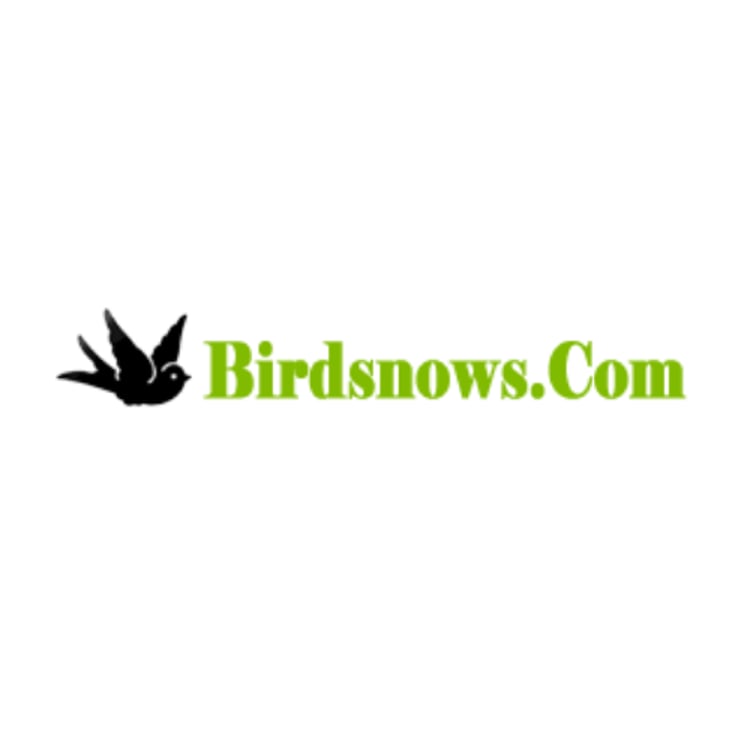 Birds Nows