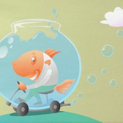 fischglasracer