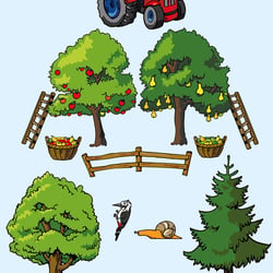 Bärchenland 1