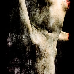 Torso 0917