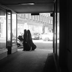 Vienna Analog